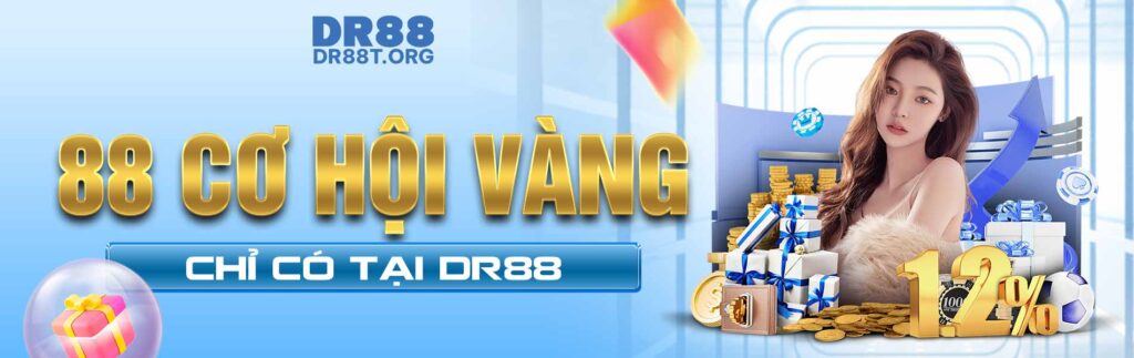 Banner dr88 (2)