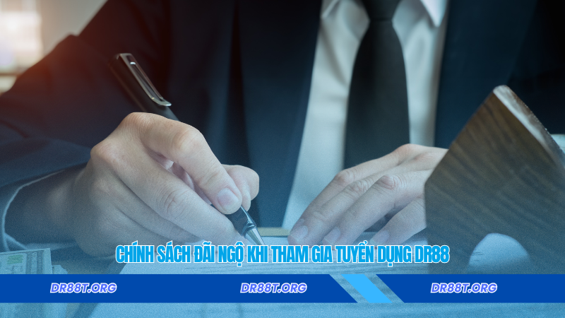 Chính sách đãi ngộ khi tham gia tuyển dụng Dr88 Chính sách đãi ngộ khi tham gia tuyển dụng Dr88