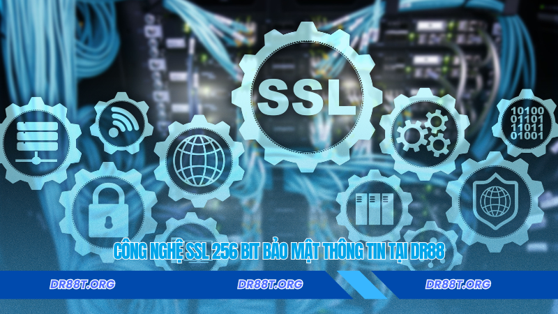 Công nghệ SSL 256 bit bảo mật thông tin tại Dr88 Công nghệ SSL 256 bit bảo mật thông tin tại Dr88